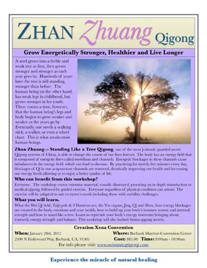 Zhan Zhuang Qigong