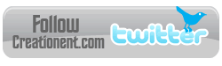 Follow Creation Entertainment on Twitter!